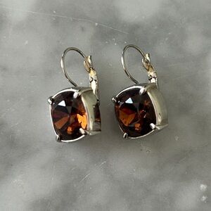 Chic Silver and Brown Crystal Earrings